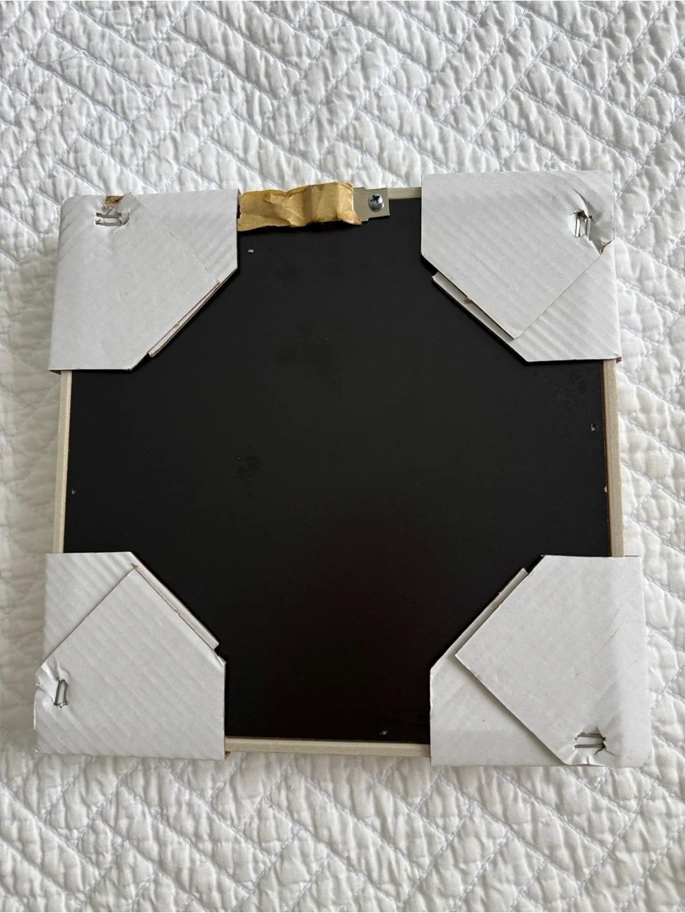 Nature  “Shadow Box “Ceramic Succulent Wall Art - White
